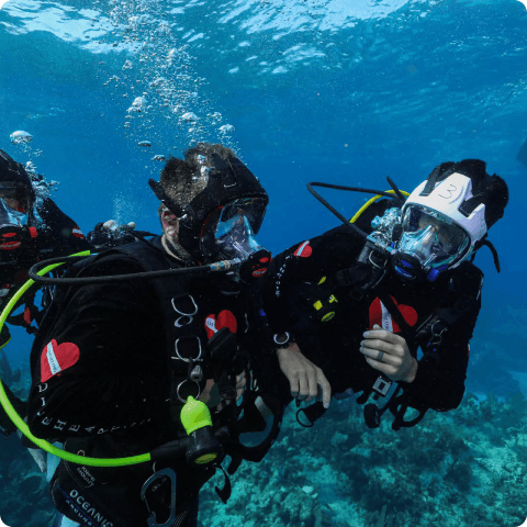 Diveheart adaptive diver underwater
