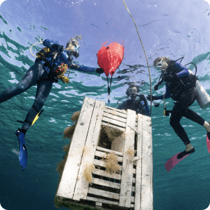 Trash Derby: A Year of Cleaning Up the Keys
