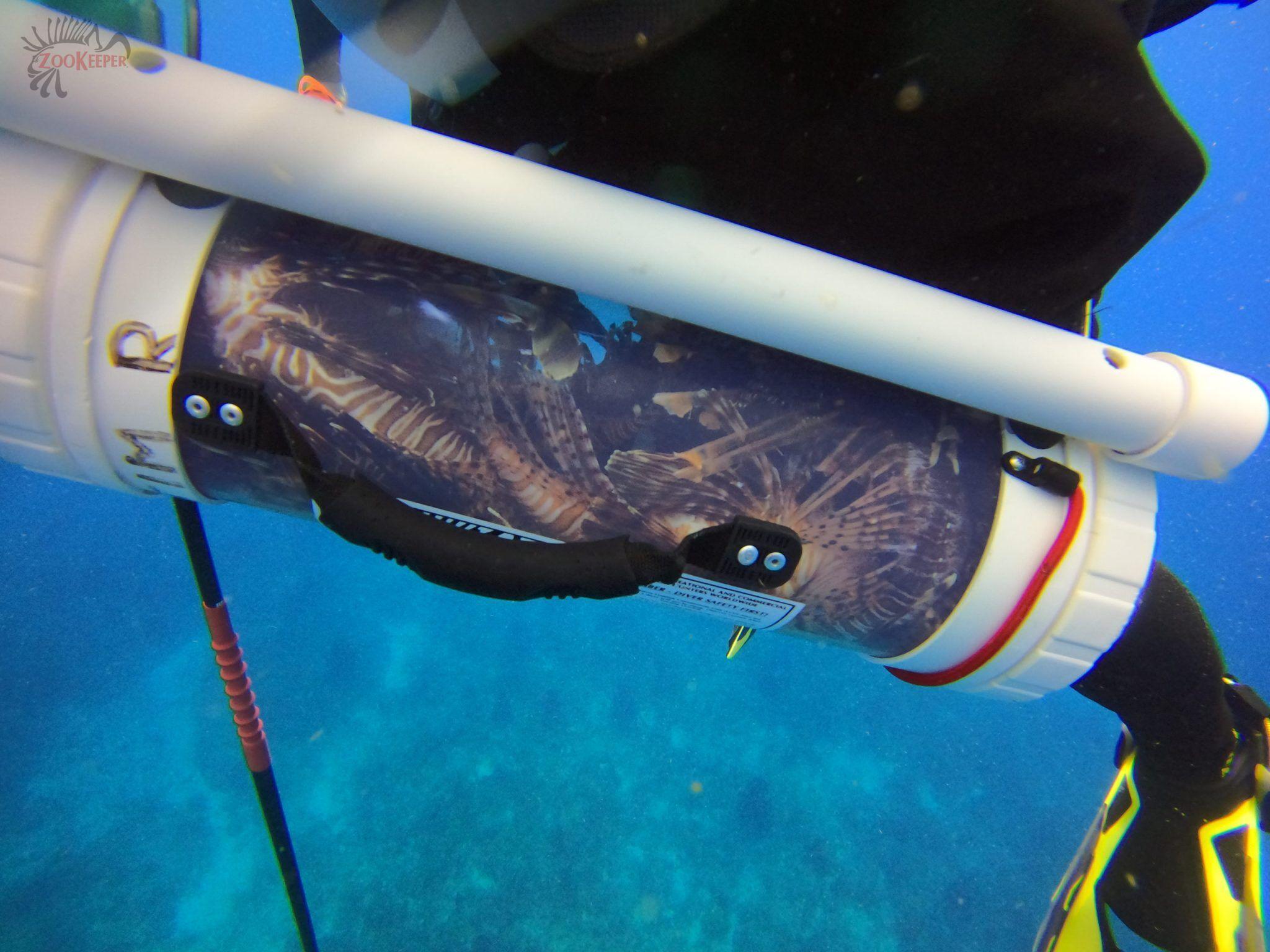 Lionfish Zookeeper brand visual