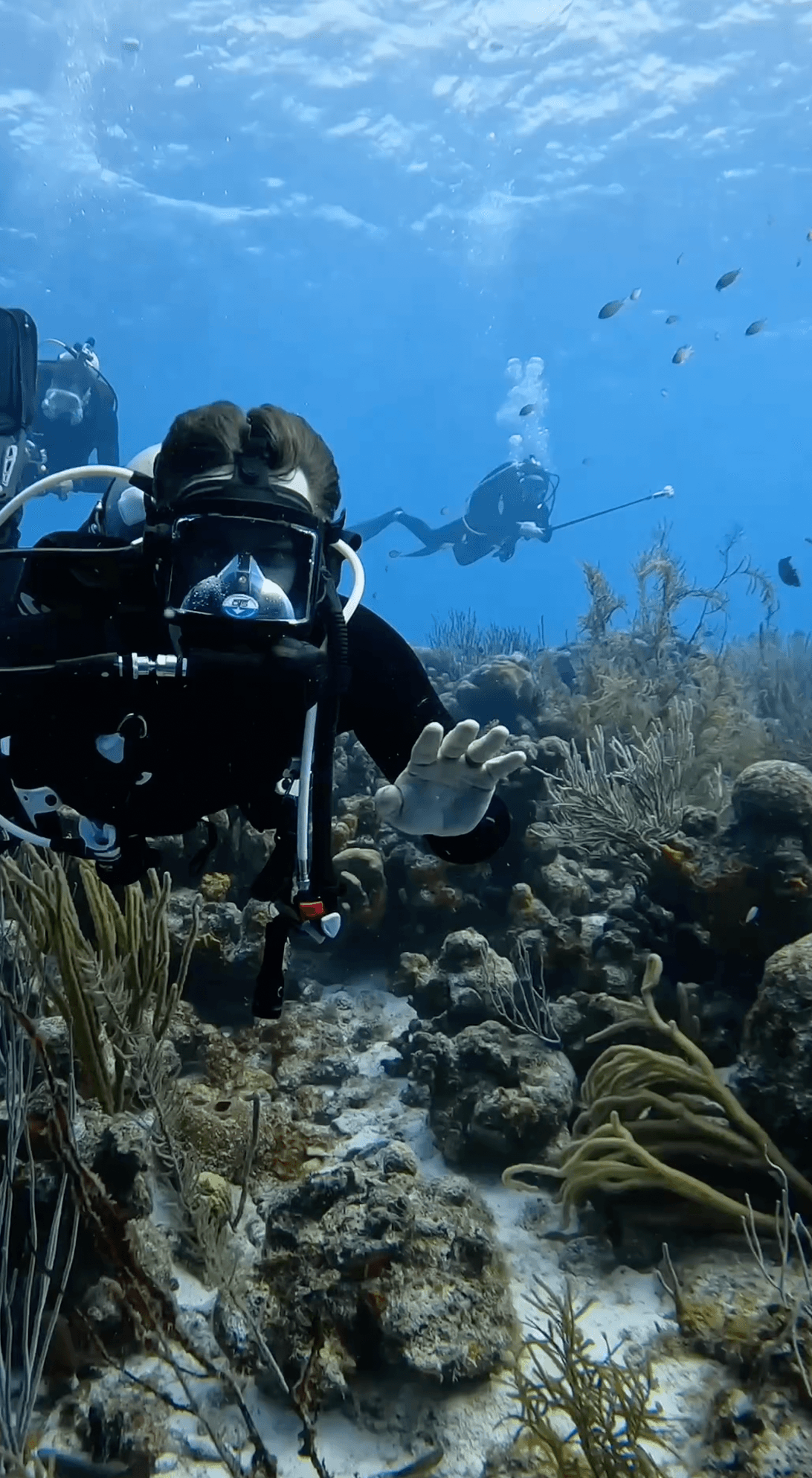 Buddy Explorer syncing ScubaPro dives to Buddy app