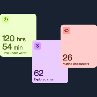 Your diving, by the numbers
