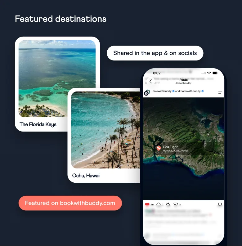 Featured destinations The Florida Keys and Oahu, Hawaii, and a Sea Tiger dive site post in the Buddy app