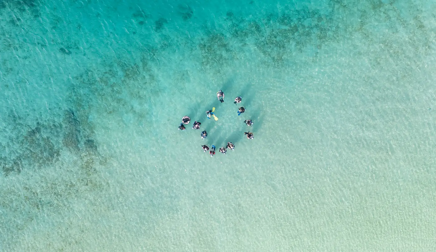 Aerial view of a group of divers floating in a circle in blue water