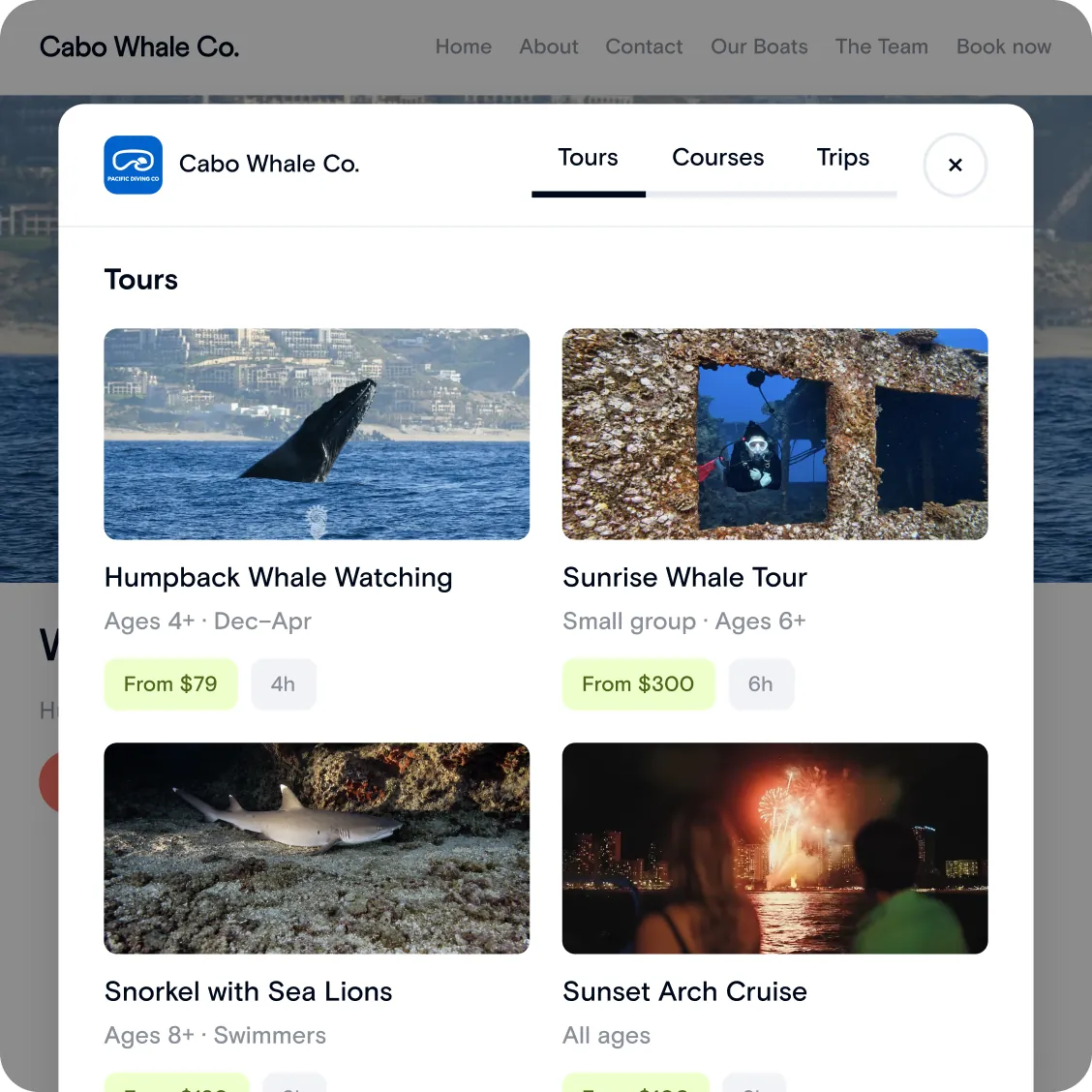 Buddy booking widget open over a whale watching company website, listing tours